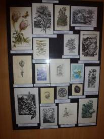 Fotografie z galerie