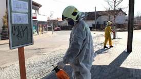 Fotografie z galerie