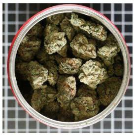 Fotografie z galerie