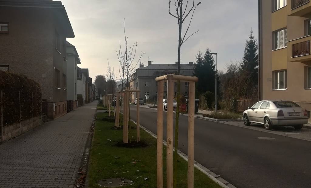 Hronov vysadil desítky stromů pro snížení prašnosti a lepší mikroklima