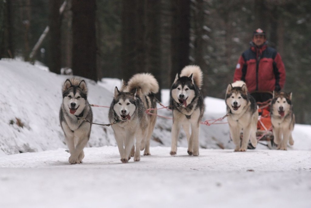 Jiří Vondrák ovládl extrémní Šediváčkův Long, slovenský triumf na dvoustovce