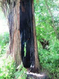 Fotografie z galerie