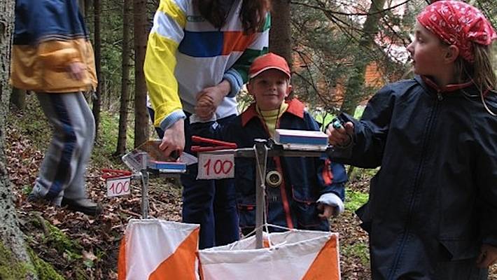 Pojďte se o svátku proběhnout do lesa