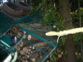 Fotografie z galerie