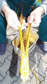 Proutky rozdělíme na čtyři a čtyři