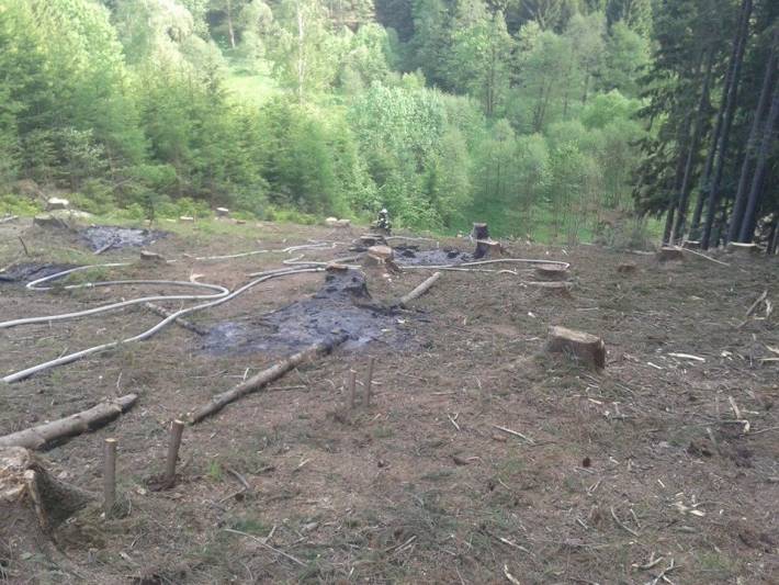 Hasiči likvidovali požár lesa