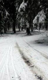 Fotografie z galerie