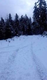 Fotografie z galerie