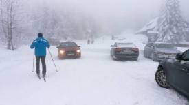 Fotografie z galerie