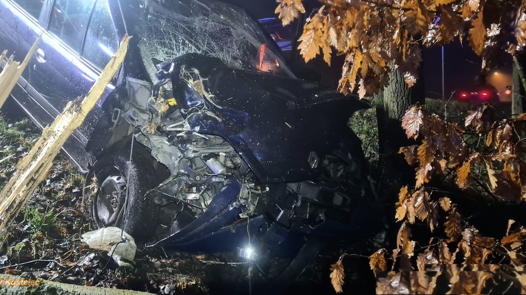 Renault narazil čelně do stromu, řidič skončil v péči záchranářů