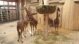 Fotografie z galerie