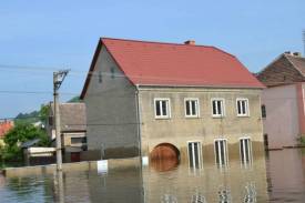 Fotografie z galerie