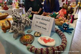 Fotografie z galerie