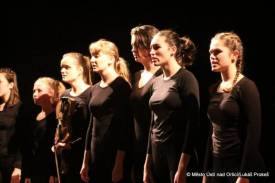 Fotografie z galerie