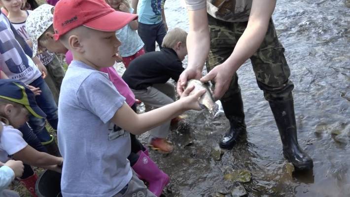 Dobrušští školáci vypustili do řeky 160 kilogramů pstruhů
