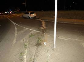 Fotografie z galerie