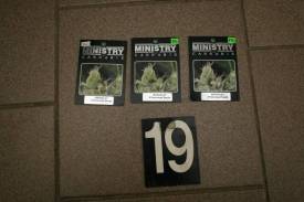 Fotografie z galerie