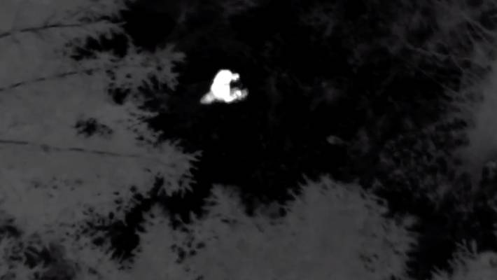 Hošíček je na světě! Dobrá práce vrtulníku, volal policista