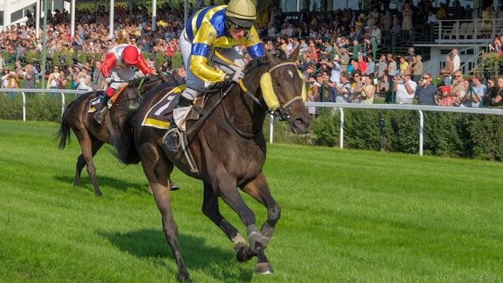 Blíží se Velká Pardubická. A s ní spojené nutné uzavírky silnic