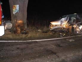 Fotografie z galerie