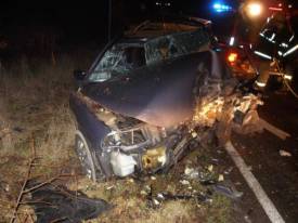 Fotografie z galerie