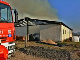 Fotografie z galerie