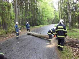 Fotografie z galerie