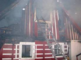 Fotografie z galerie