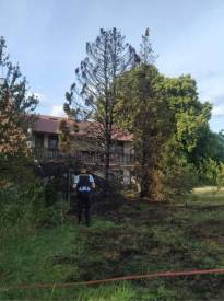 Fotografie z galerie