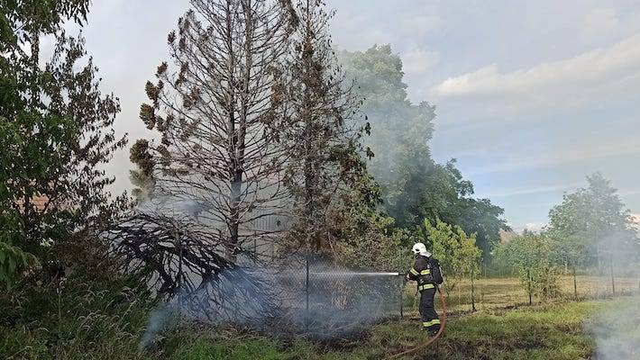 Túje v plamenech. Od keřů začala hořet i střecha domu