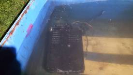 Fotografie z galerie