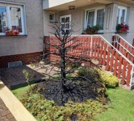 Fotografie z galerie