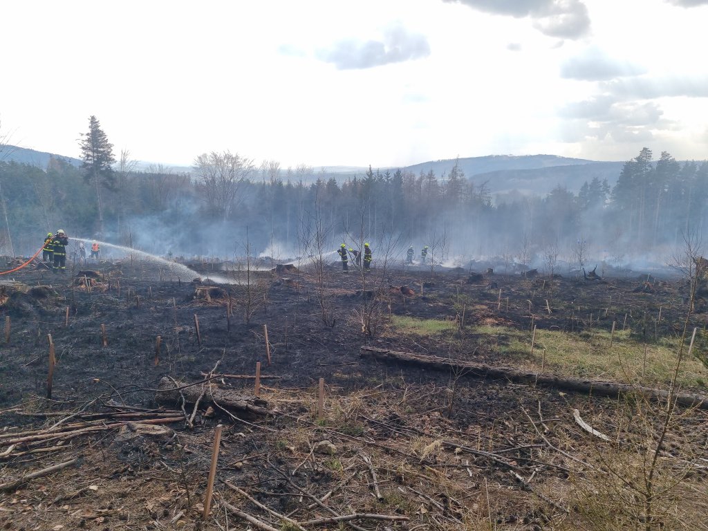 Práce lesníků lehla popelem. Hasiči na Svitavsku bojovali s plameny v nově vysázeném lese