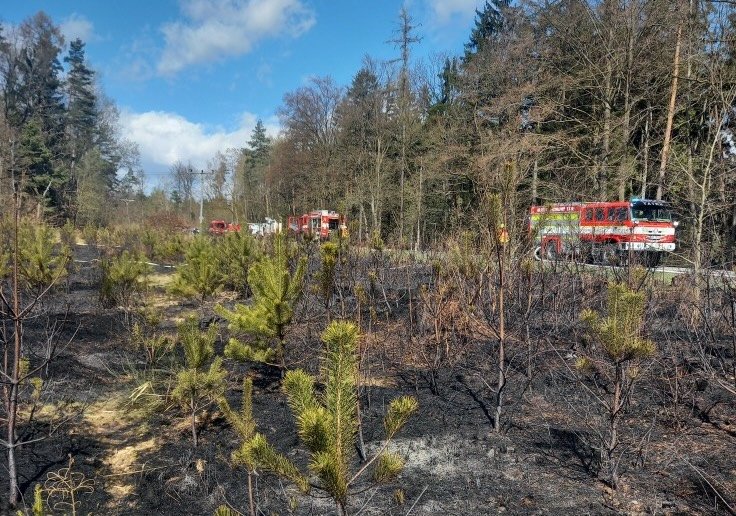 Stržený drát zapálil les u Choustníkova Hradiště. Plameny se hnaly do školky, hasiči bojovali s větrem