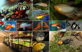 malý mix fotek z minulého roku