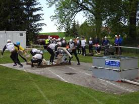 Fotografie z galerie