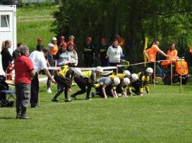 Fotografie z galerie