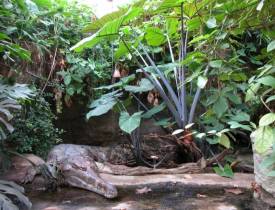 Fotografie z galerie