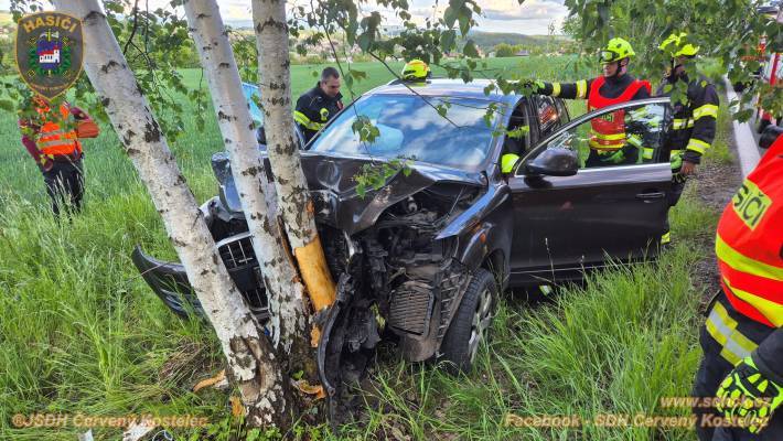 Audina sjela ze silnice a zastavila o stromy. Břízu museli skácet